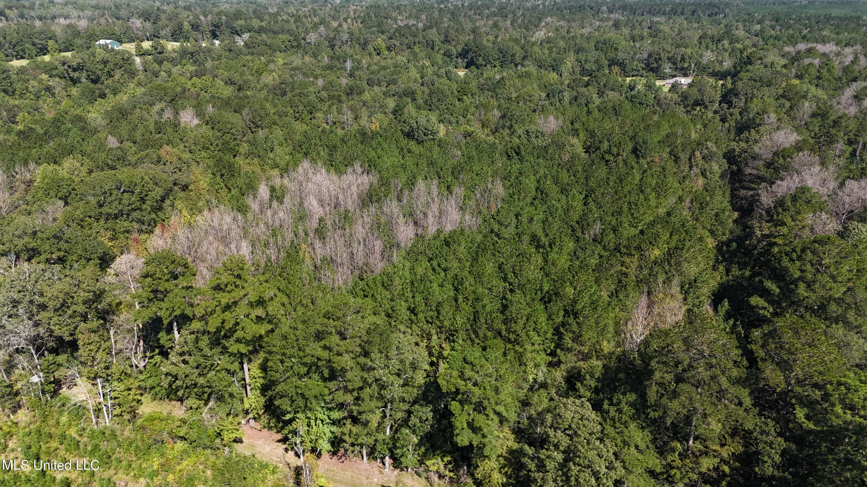 Van Zandt Road Mendenhall, MS 39114 - Photo 1 of 8 photo 1
