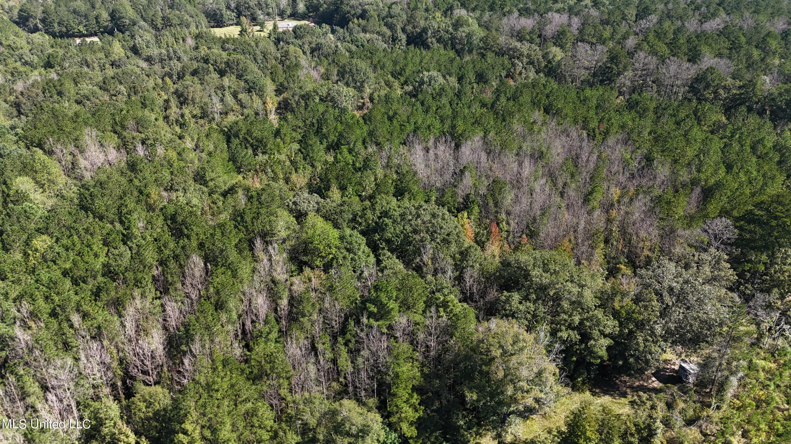 Van Zandt Road Mendenhall, MS 39114 - Photo 2 of 8 photo 2