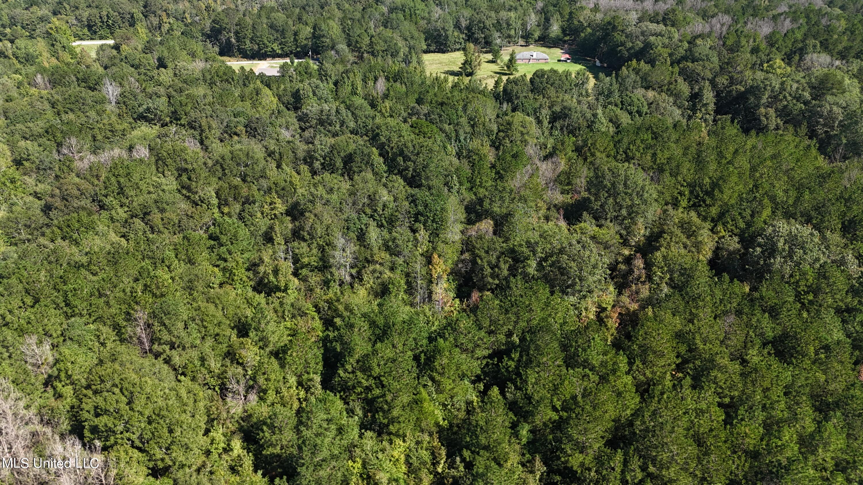 Van Zandt Road Mendenhall, MS 39114 - Photo 3 of 8 photo 3