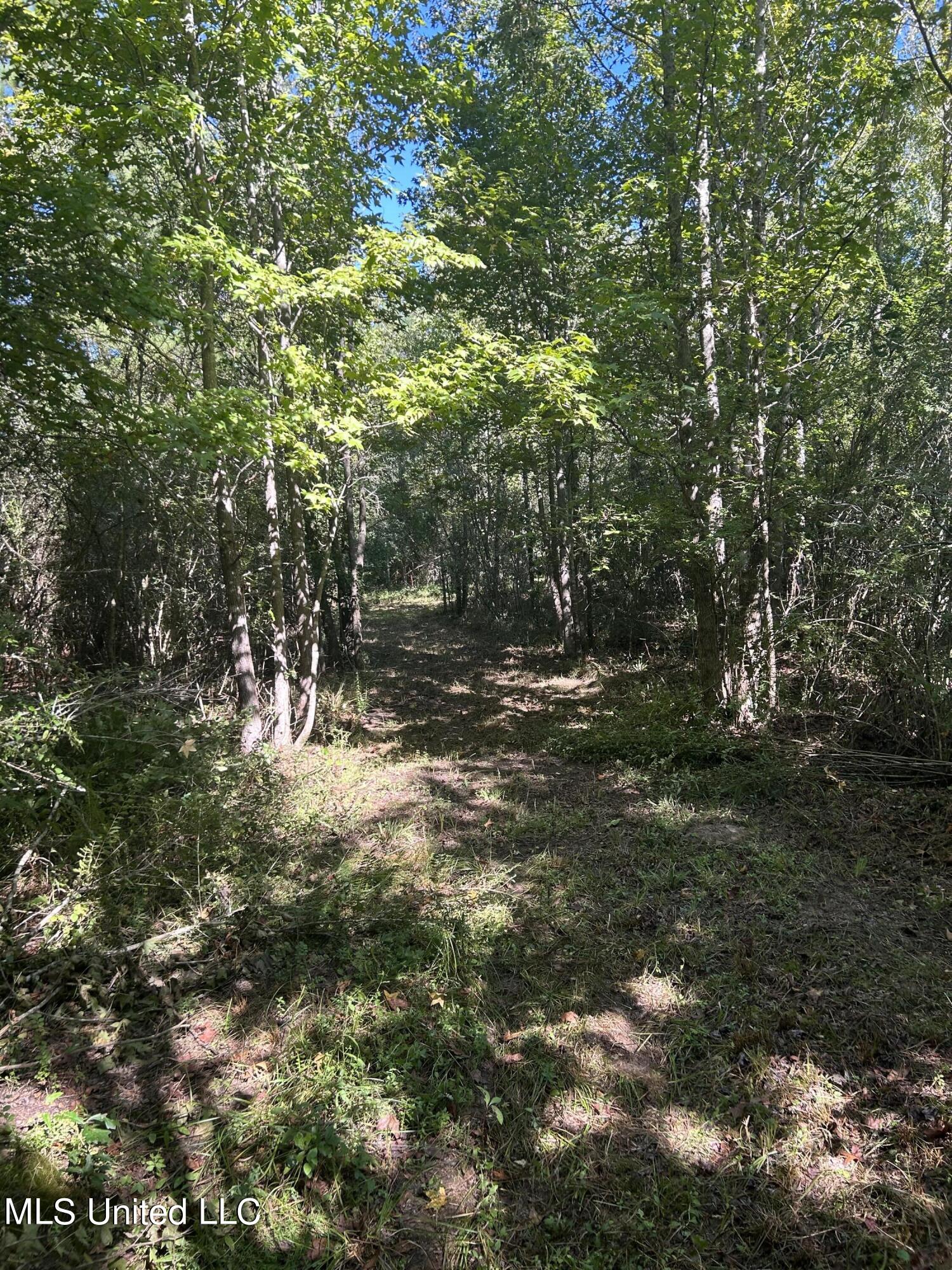 Van Zandt Road Mendenhall, MS 39114 - Photo 5 of 8 photo 5
