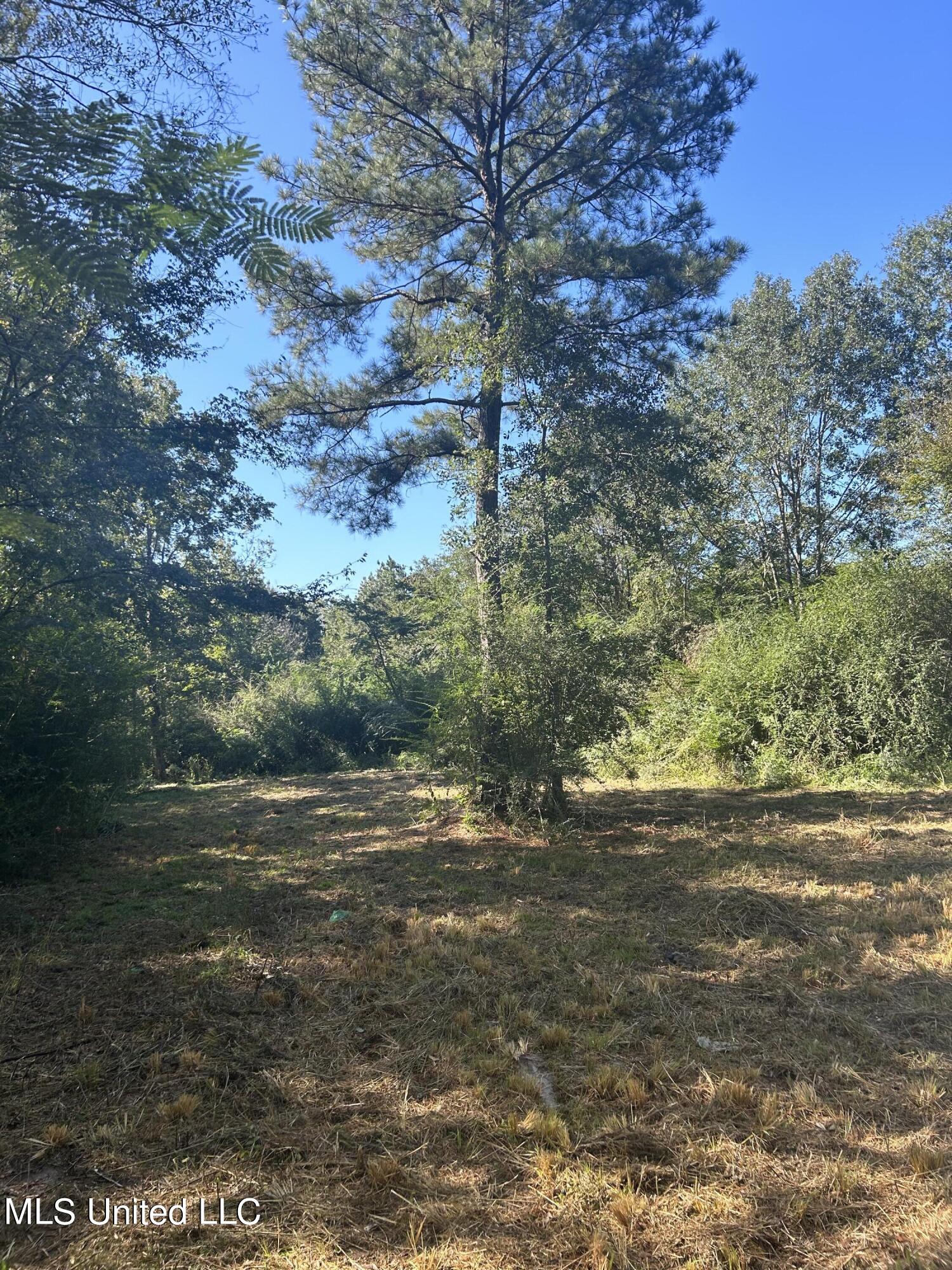 Van Zandt Road Mendenhall, MS 39114 - Photo 7 of 8 photo 7