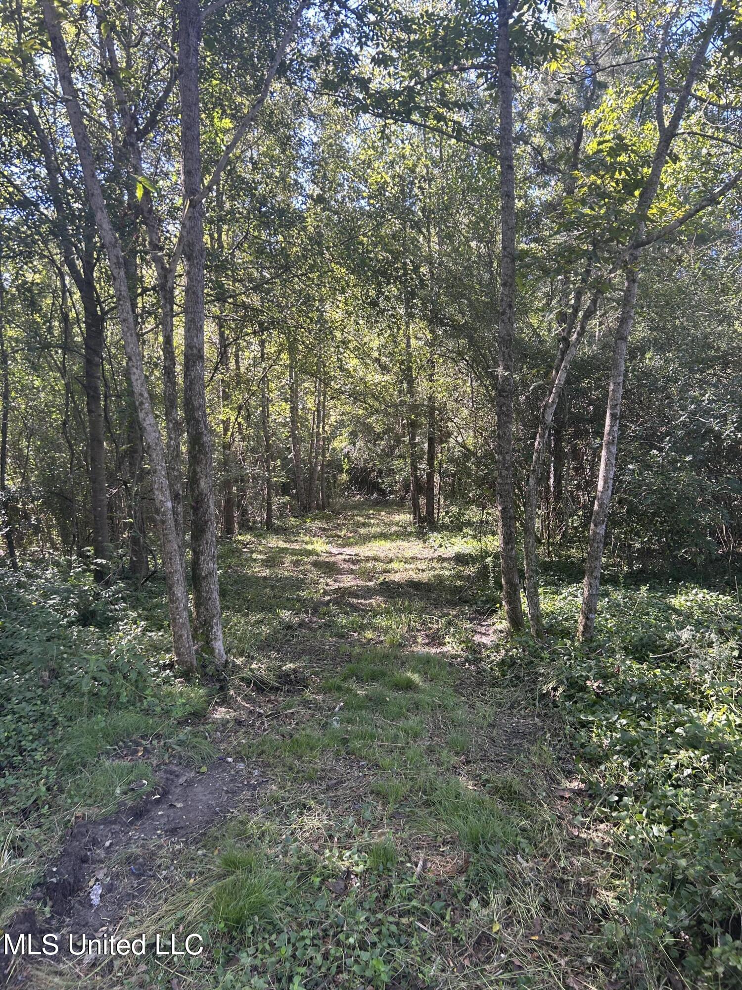 Van Zandt Road Mendenhall, MS 39114 - Photo 8 of 8 photo 8