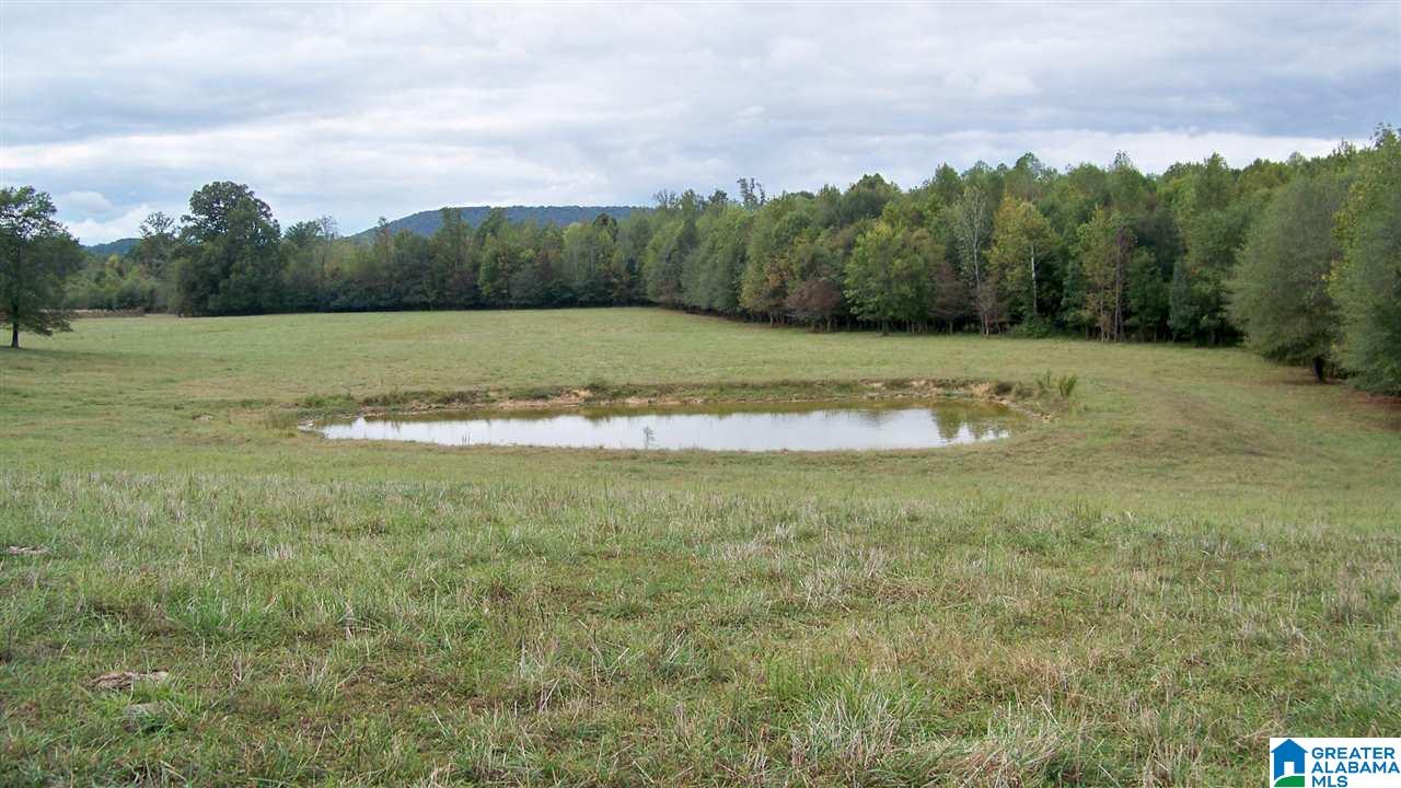 455 Bristow Creek Road Altoona, AL 35952 - Photo 13 of 21