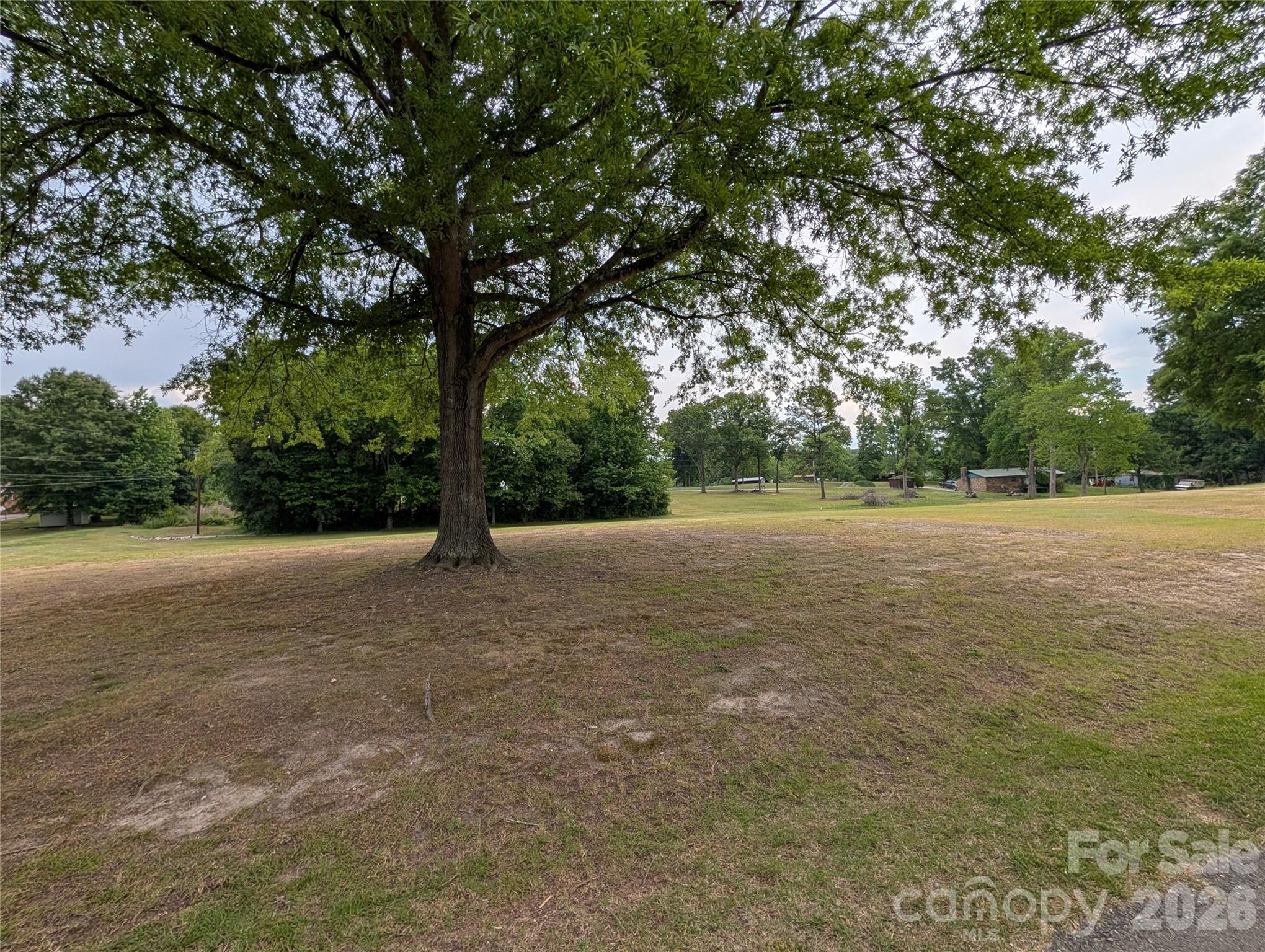 a view of outdoor space with trees all around
