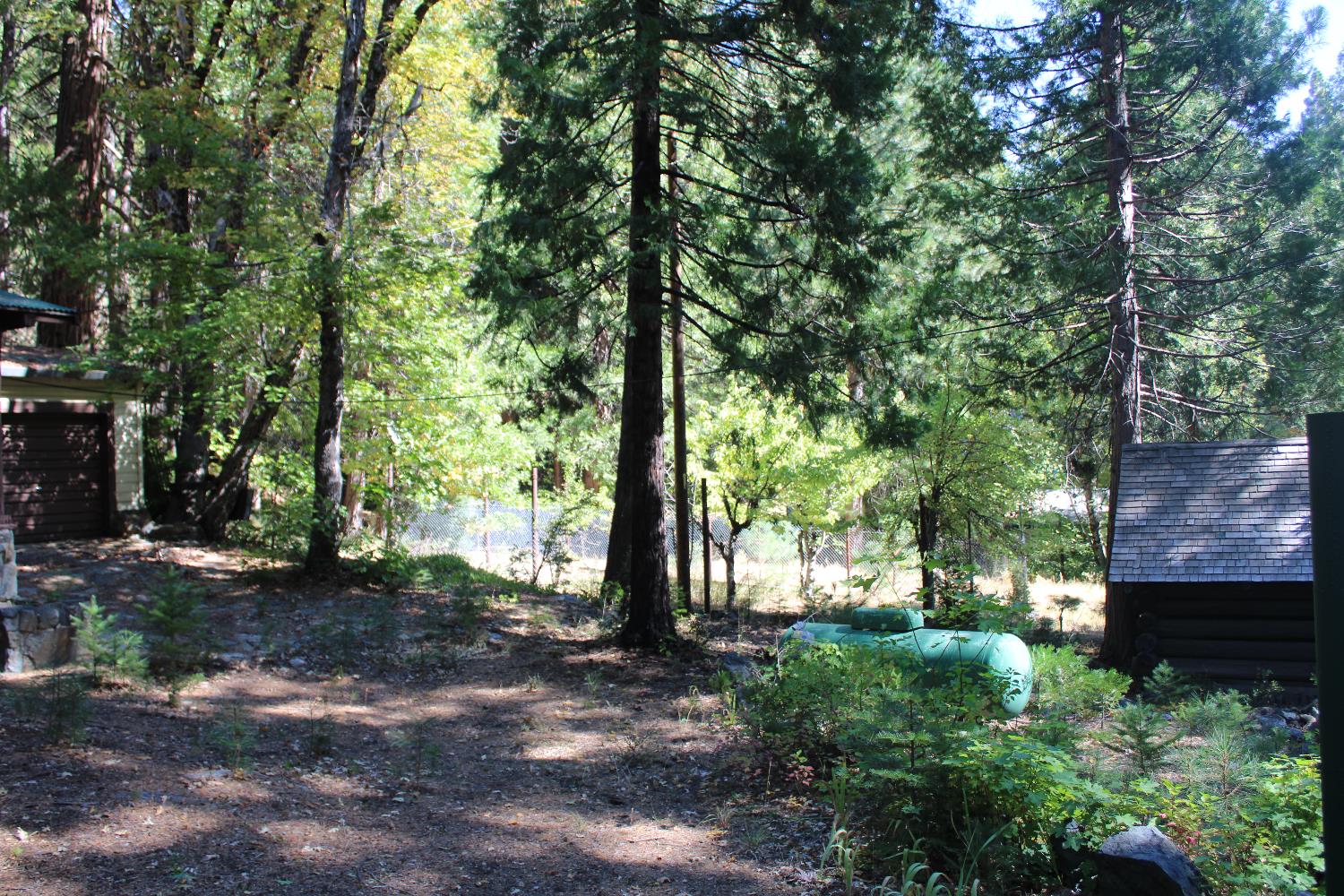 101 Wild Plum Road Sierra City, CA 96125 - Photo 16 of 23