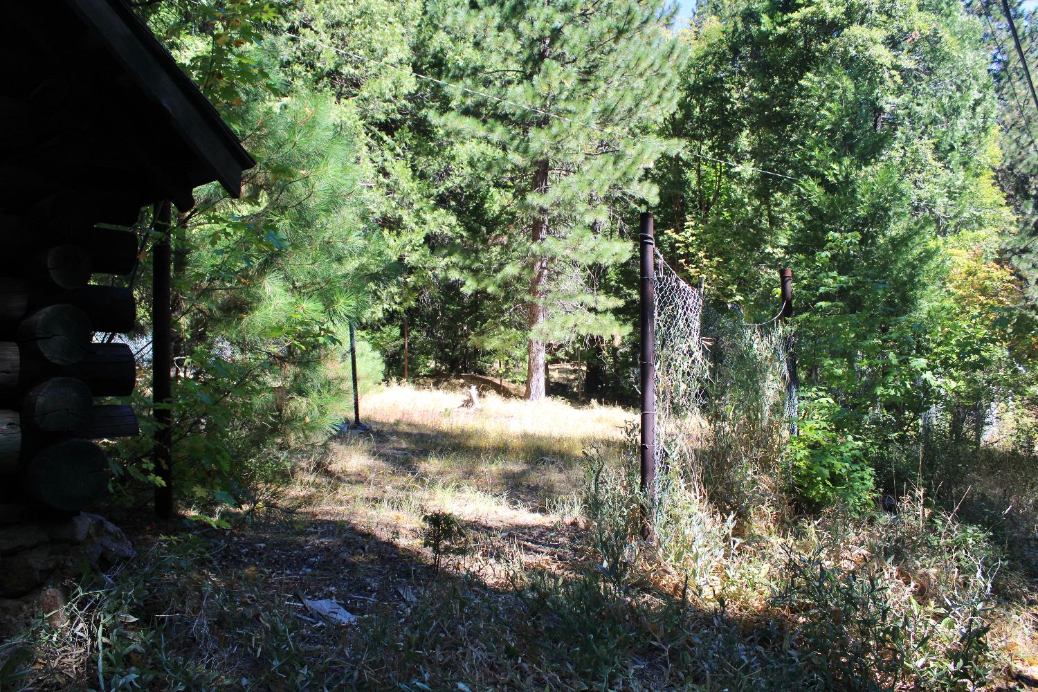 101 Wild Plum Road Sierra City, CA 96125 - Photo 22 of 23