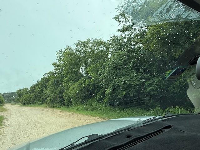 1190 Kopperl Tx 76652 Kopperl, TX 76652 - Photo 2 of 9 a view of a yard from a balcony