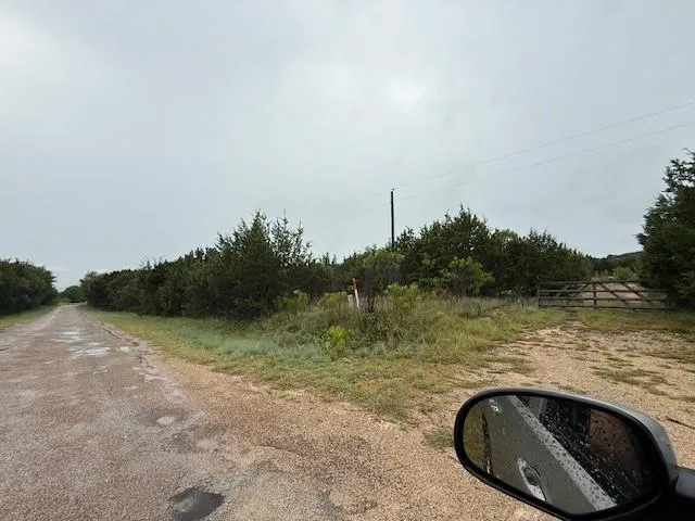 a view of a yard with plants and a trees