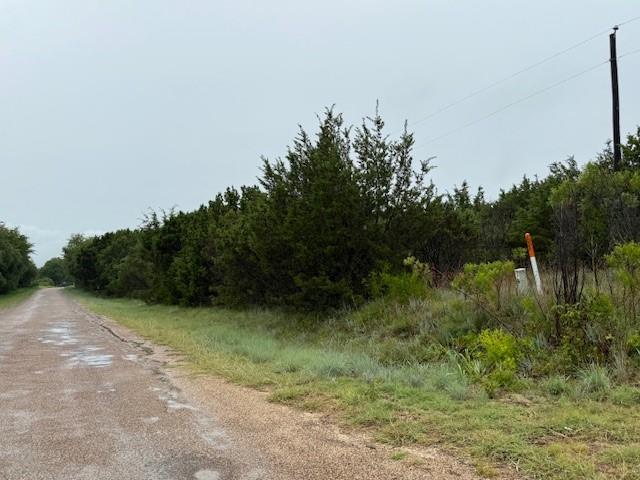 1190 Kopperl Tx 76652 Kopperl, TX 76652 - Photo 7 of 9 a view of a yard with plants and a trees