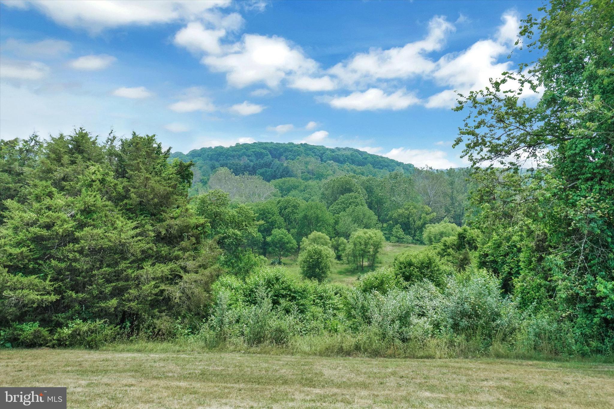 361 Bald Eagle Road Fawn Grove, PA 17321 - Photo 33 of 36 a view of a green field