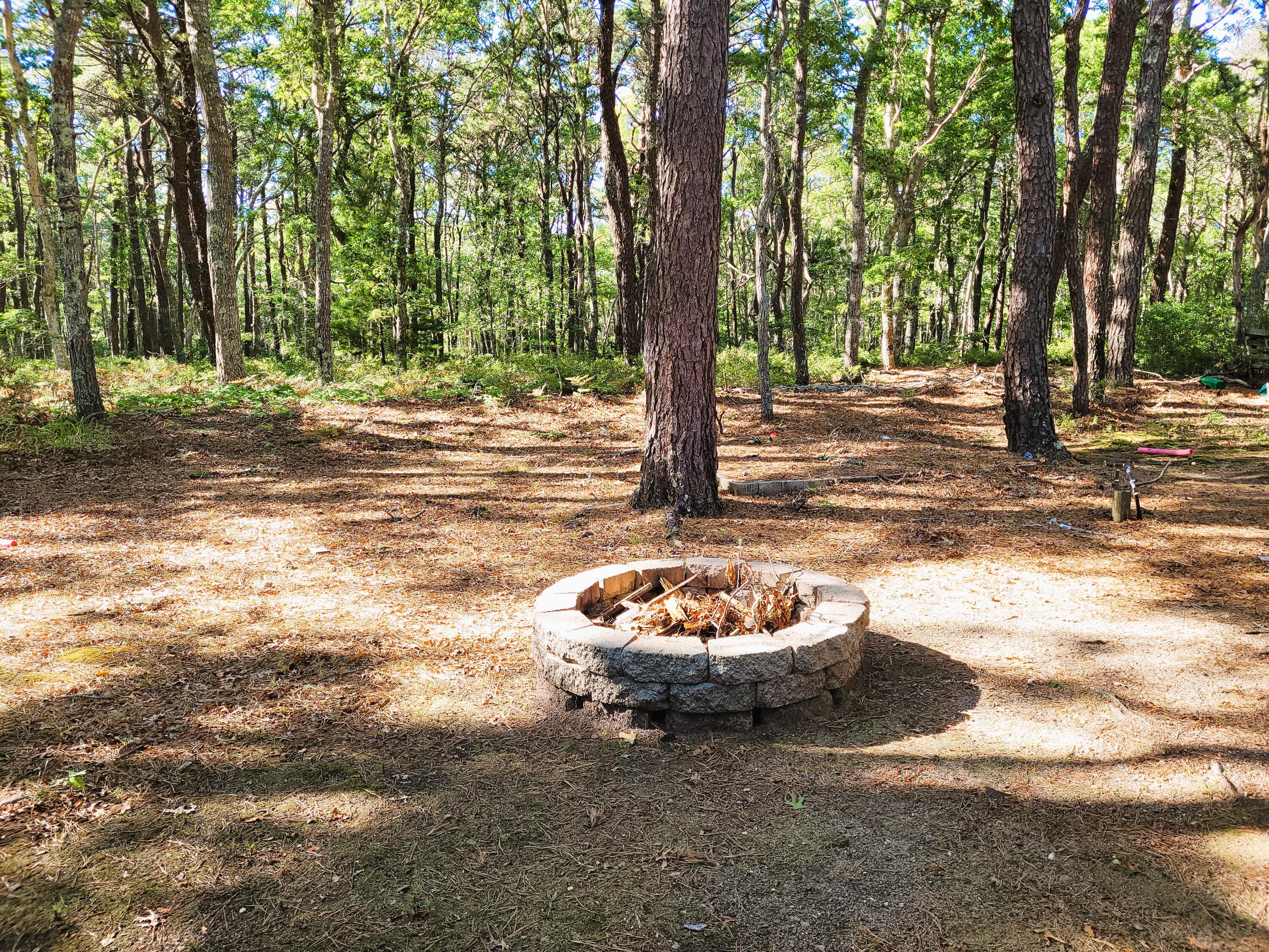 310 Old Chatham Road, Unit A21 South Dennis, MA 02660 - Photo 3 of 51 Firepit & Wooded Private backyard