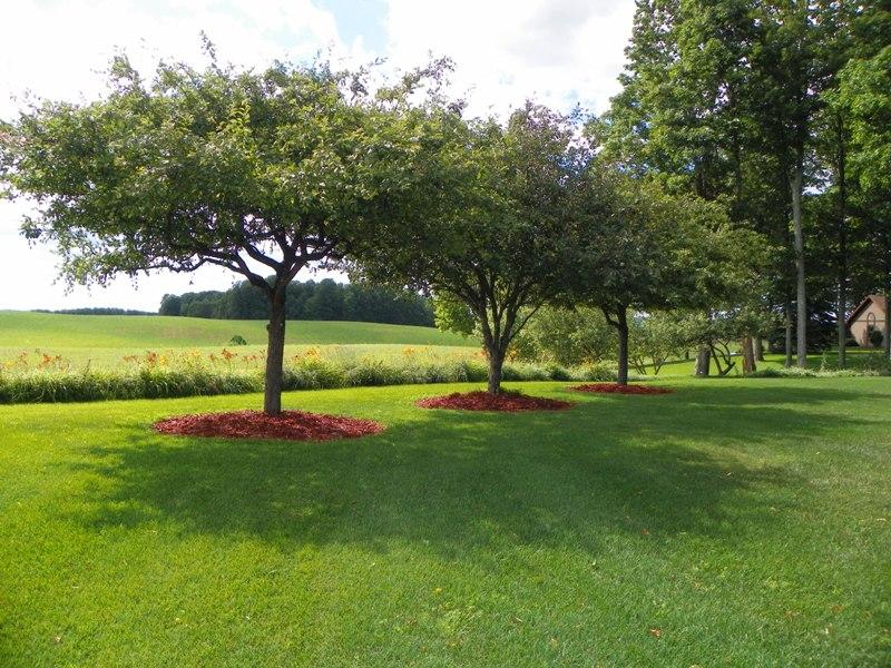2650 Kujawa Road Gaylord, MI 49735 - Photo 20 of 30 Gallery Image 20