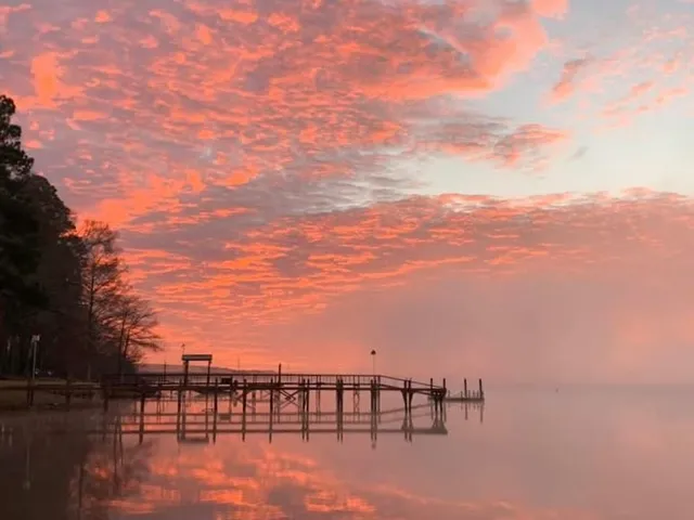 a house that has a tree in front of it