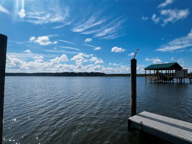 a view of a backyard with plants and large tree