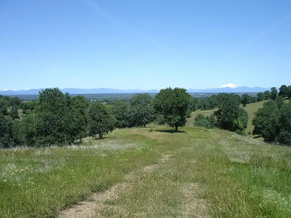 $91,905 | Lot 58 Pimlico Court, Cottonwood, CA 96022