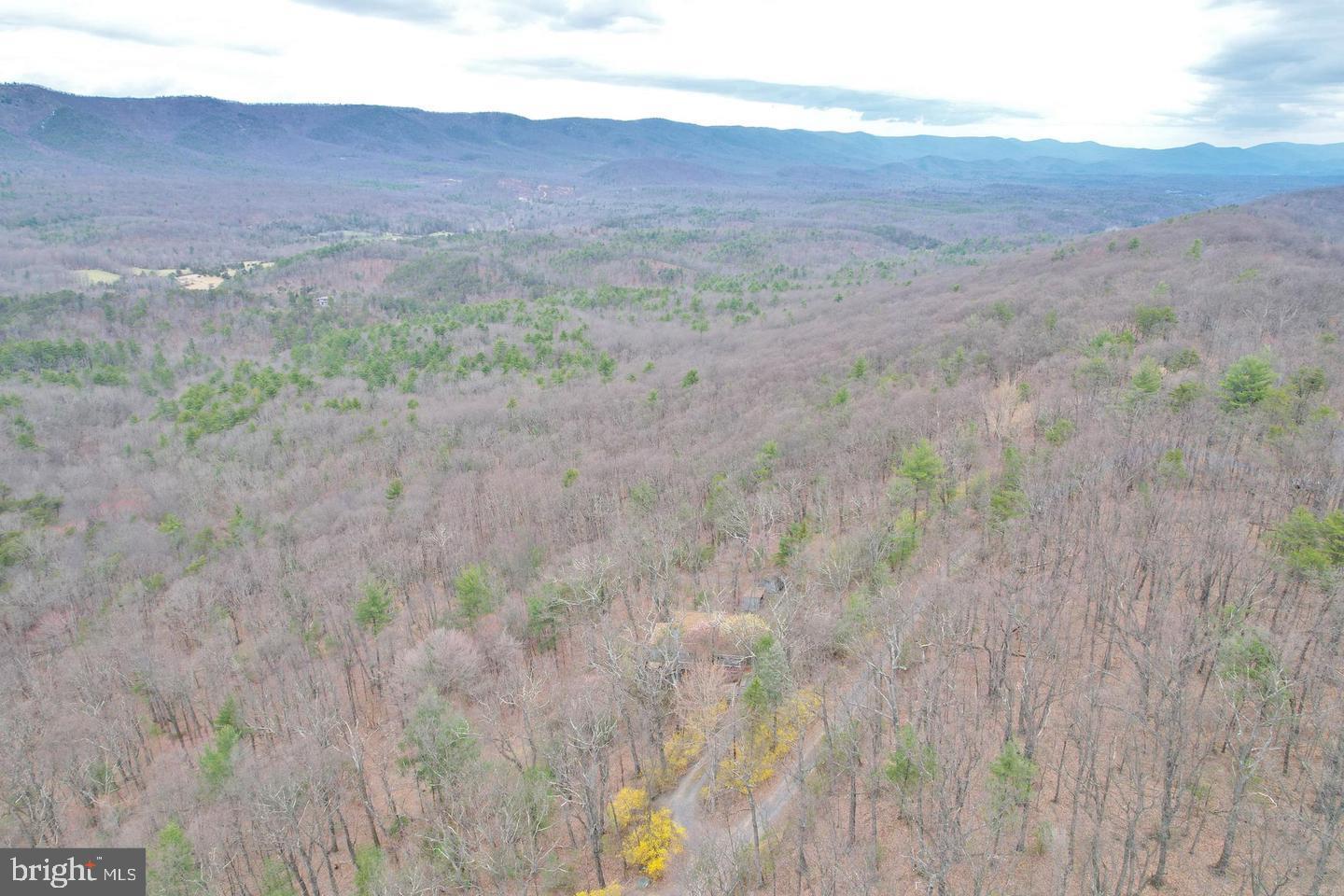 Sunset Ridge Broadway, VA 22815 - Photo 1 of 11 a view of a dry yard with a large tree