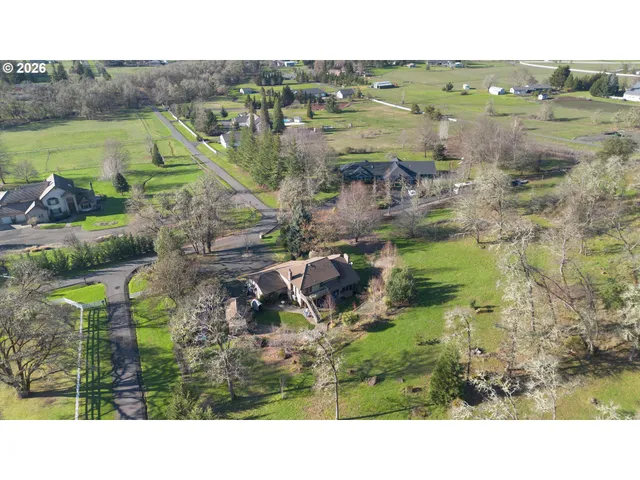 a bird view of lake and mountain view