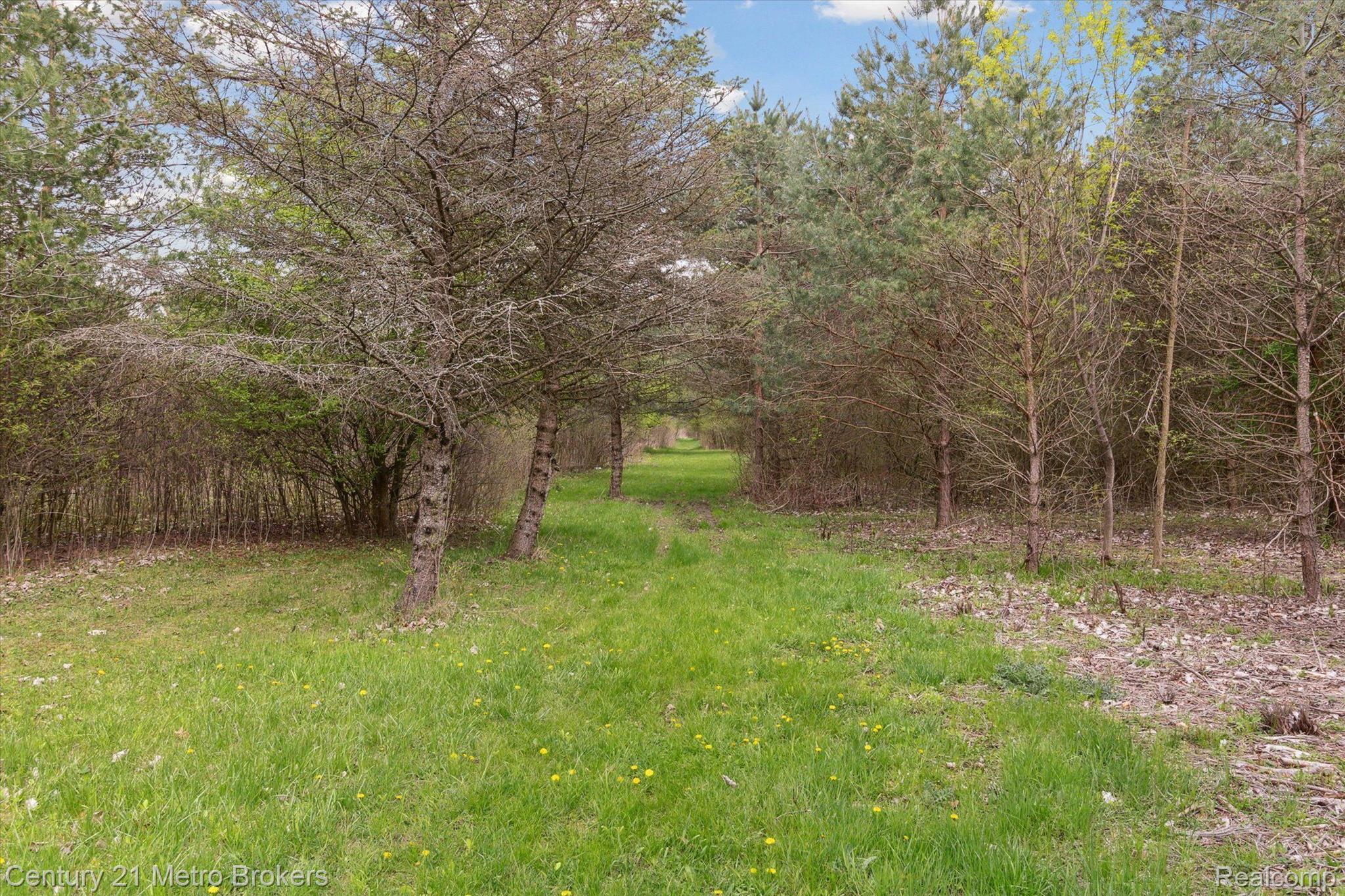 5256 North Gale Road Davison, MI 48423 - Photo 6 of 42 Gallery Image 6