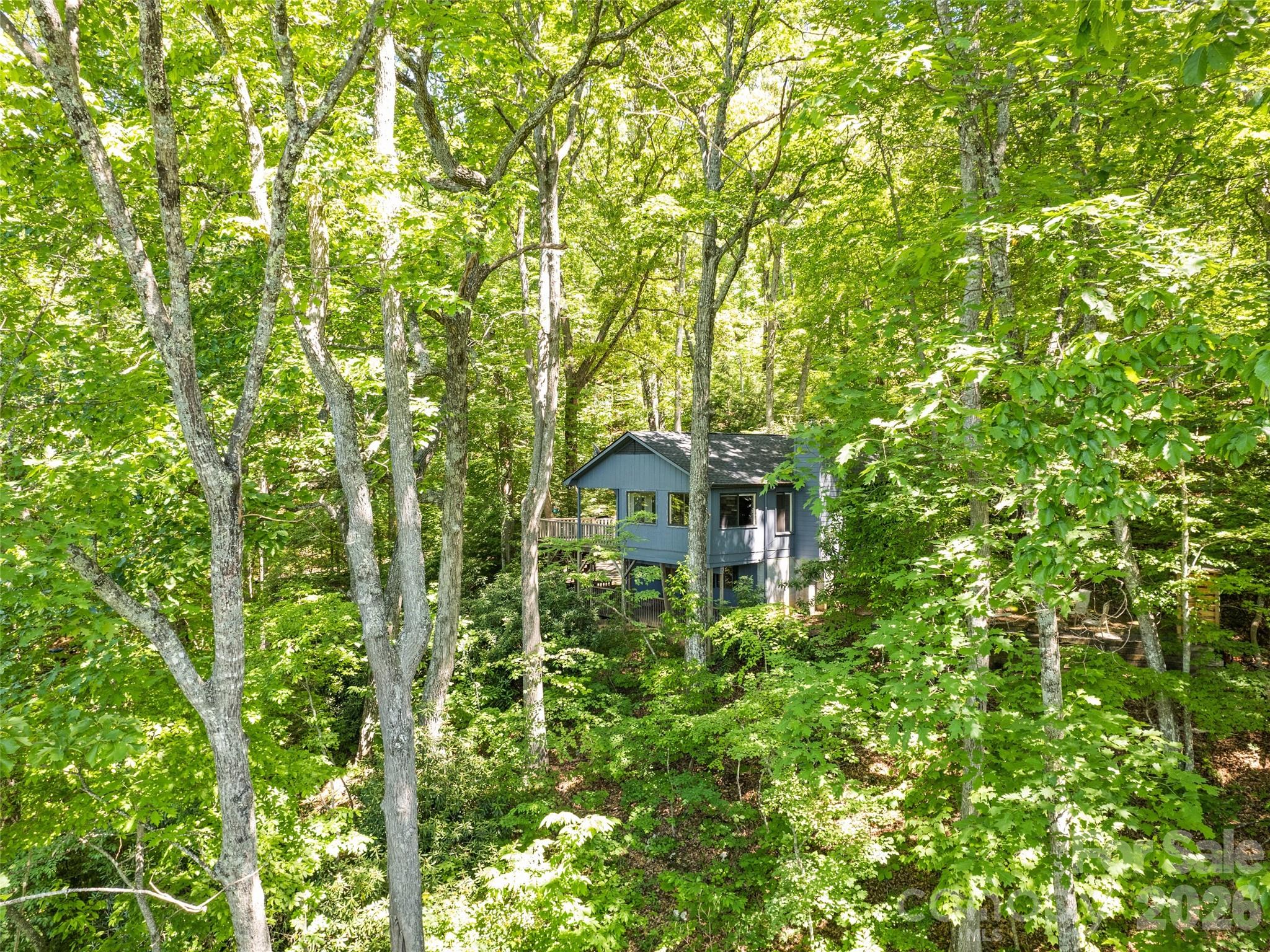 1392 Mt Chalet Road Canton, NC 28716 - Photo 7 of 34