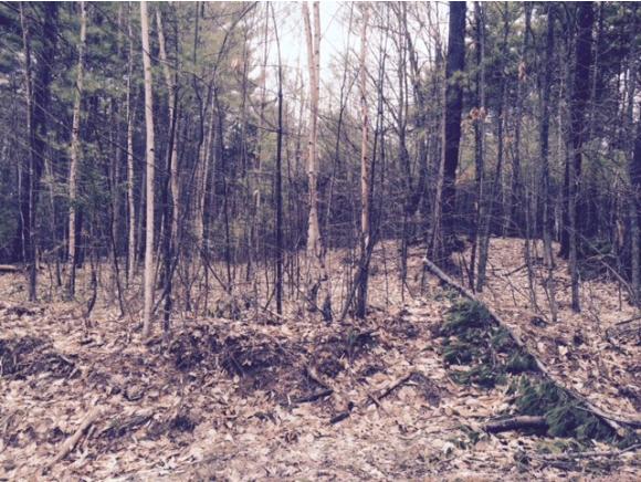 Lot 29 Hejo Road Weare, NH 03281 - Photo 3 of 5