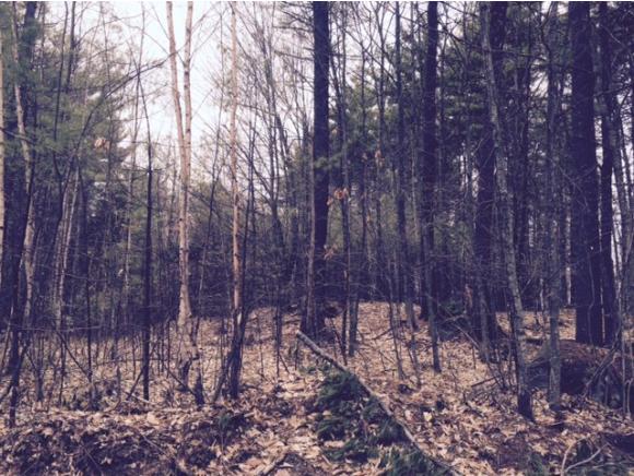 Lot 29 Hejo Road Weare, NH 03281 - Photo 4 of 5