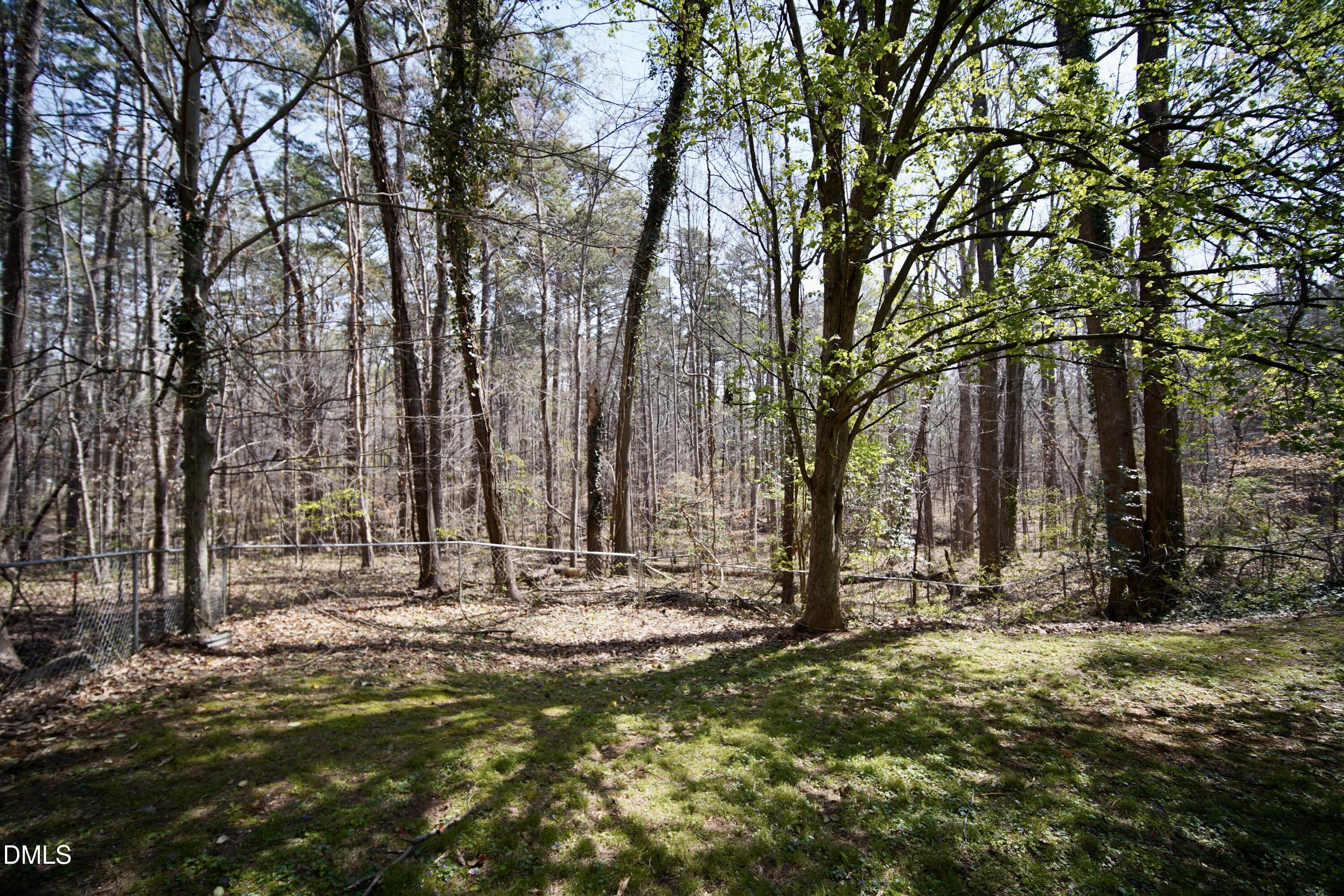 7720 Foxwood Drive Raleigh, NC 27615 - Photo 33 of 46 a view of green field with trees