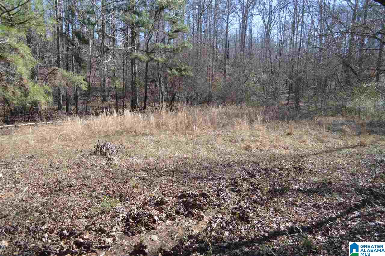 1900 Sanie Road Odenville, AL 35120 - Photo 38 of 48