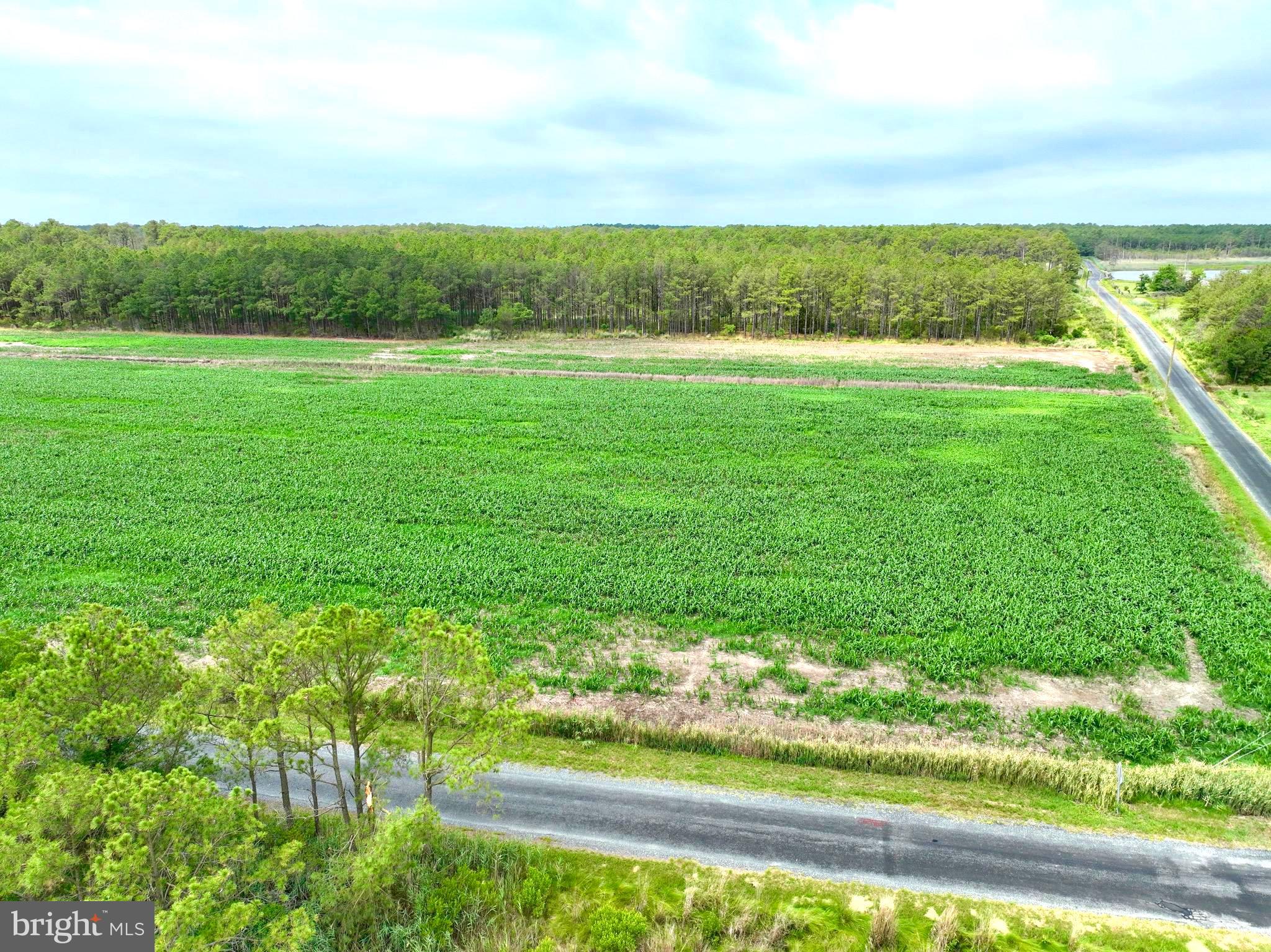 0 Hooper Neck Road Madison, MD 21648 - Photo 23 of 129