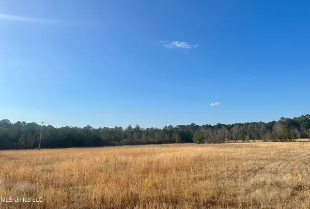 $419,900 | 0 Bowen Road, Mendenhall, MS 39114