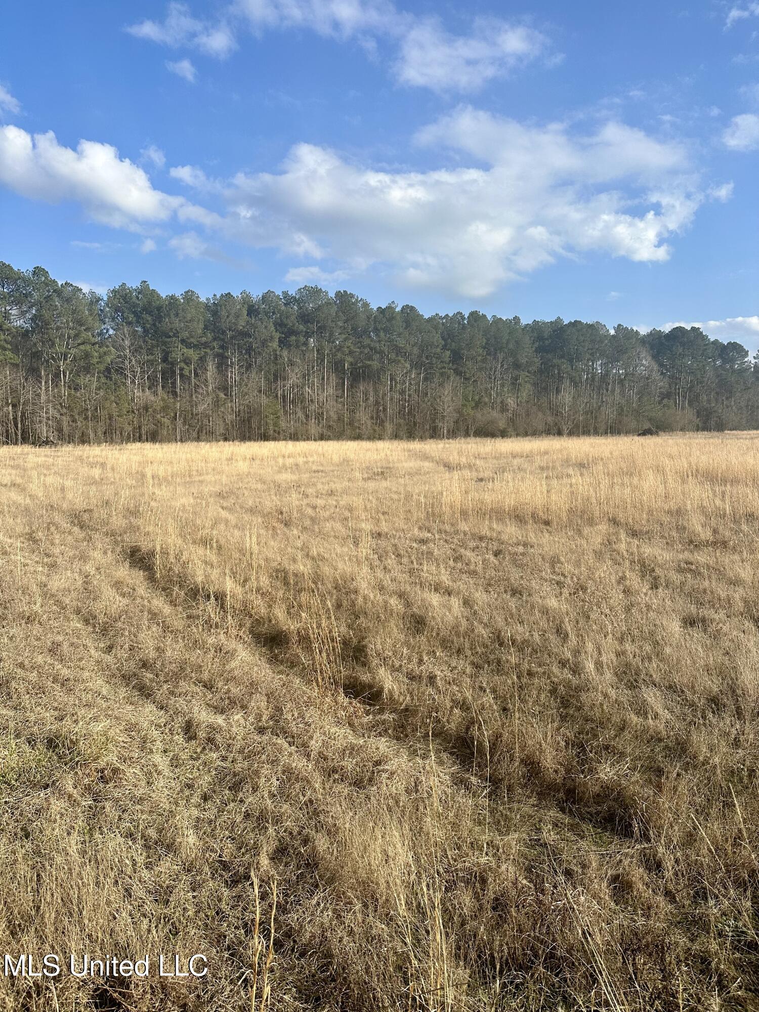 0 Bowen Road Mendenhall, MS 39114 - Photo 2 of 4 IMG_5301