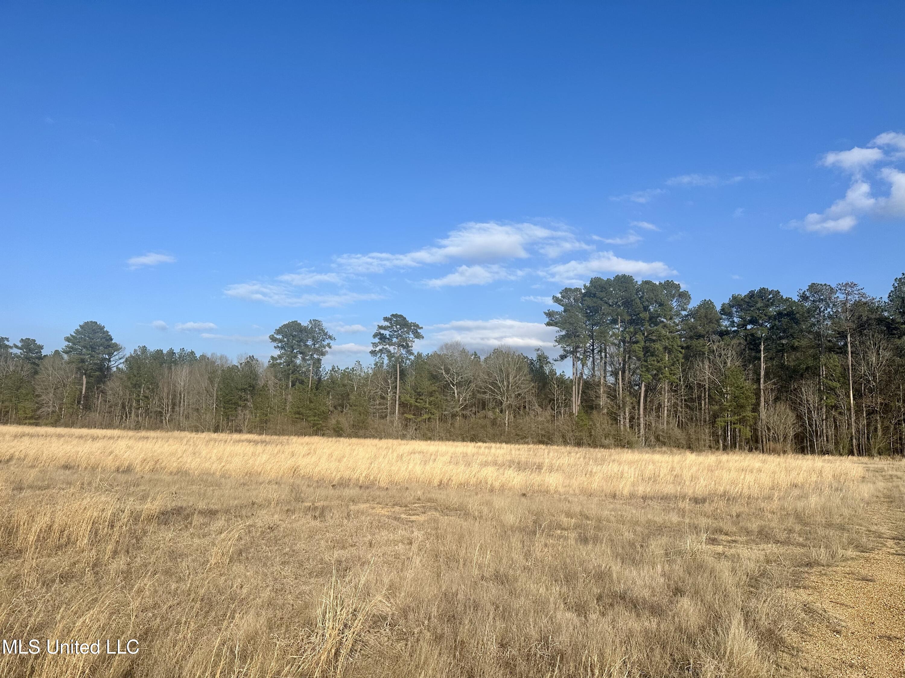 0 Bowen Road Mendenhall, MS 39114 - Photo 3 of 4 IMG_5303