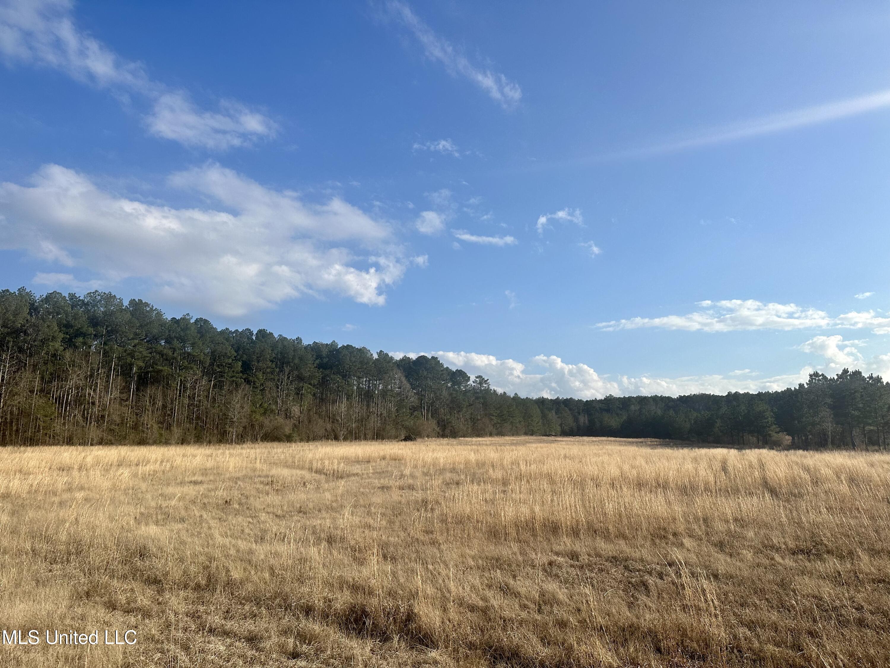 0 Bowen Road Mendenhall, MS 39114 - Photo 4 of 4 IMG_5304