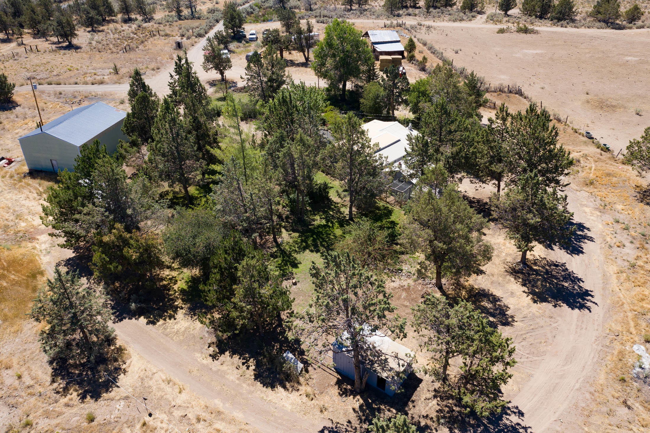 Treed parcel with privacy