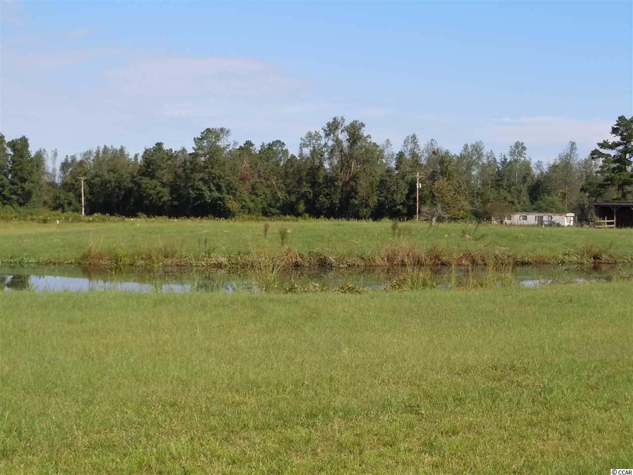 4112 Reynolds Road Tabor City, NC 28463 - Photo 21 of 37 Gallery Image 21