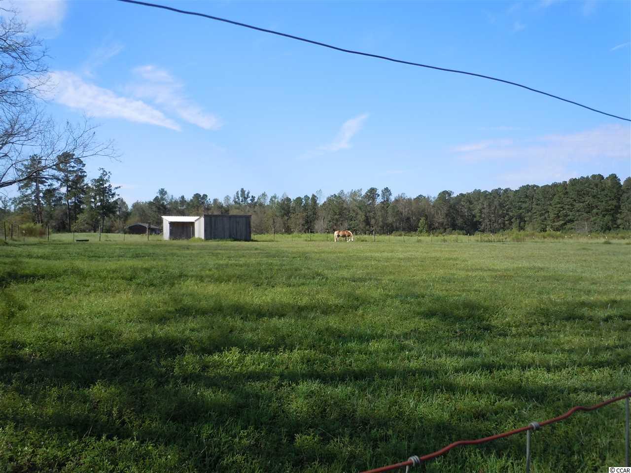 4112 Reynolds Road Tabor City, NC 28463 - Photo 28 of 37 Gallery Image 28