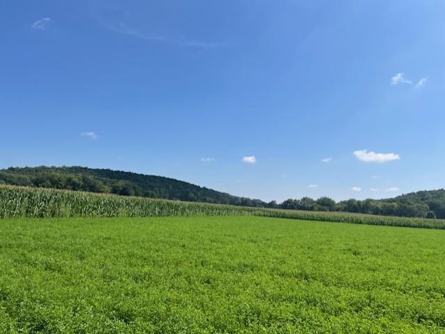 L77 Marchstone Cross Plains, WI 53528 - Photo 12 of 14