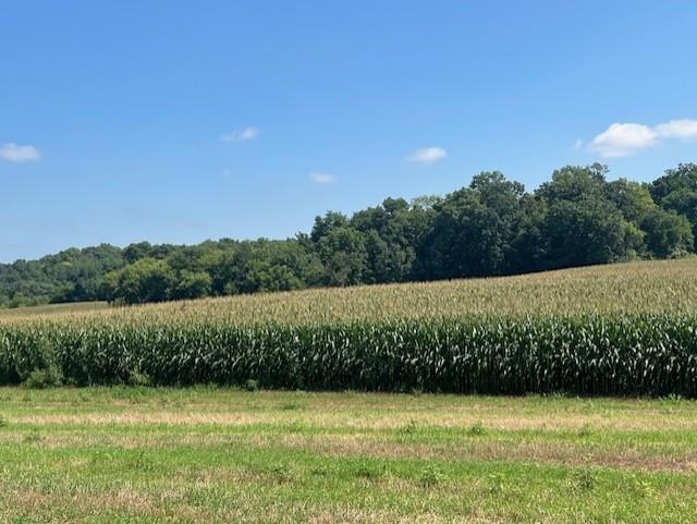 L77 Marchstone Cross Plains, WI 53528 - Photo 5 of 14