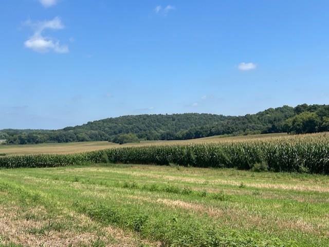 L77 Marchstone Cross Plains, WI 53528 - Photo 6 of 14