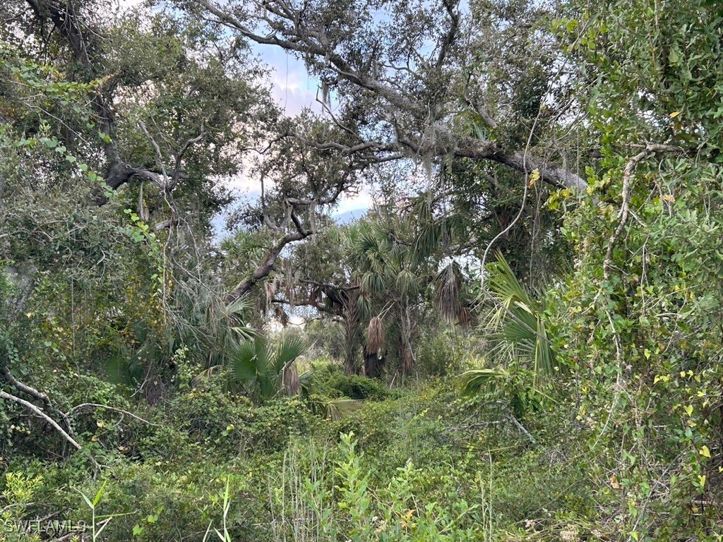 29431 Nottingham Road Punta Gorda, FL 33982 - Photo 4 of 7 a view of a forest