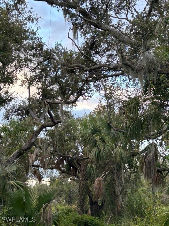 29431 Nottingham Road Punta Gorda, FL 33982 - Photo 5 of 7 a view of a tree in a yard