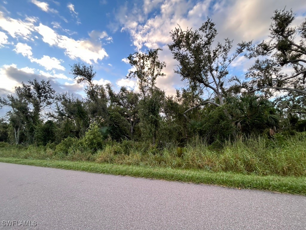 29431 Nottingham Road Punta Gorda, FL 33982 - Photo 6 of 7 a view of a yard with a tree