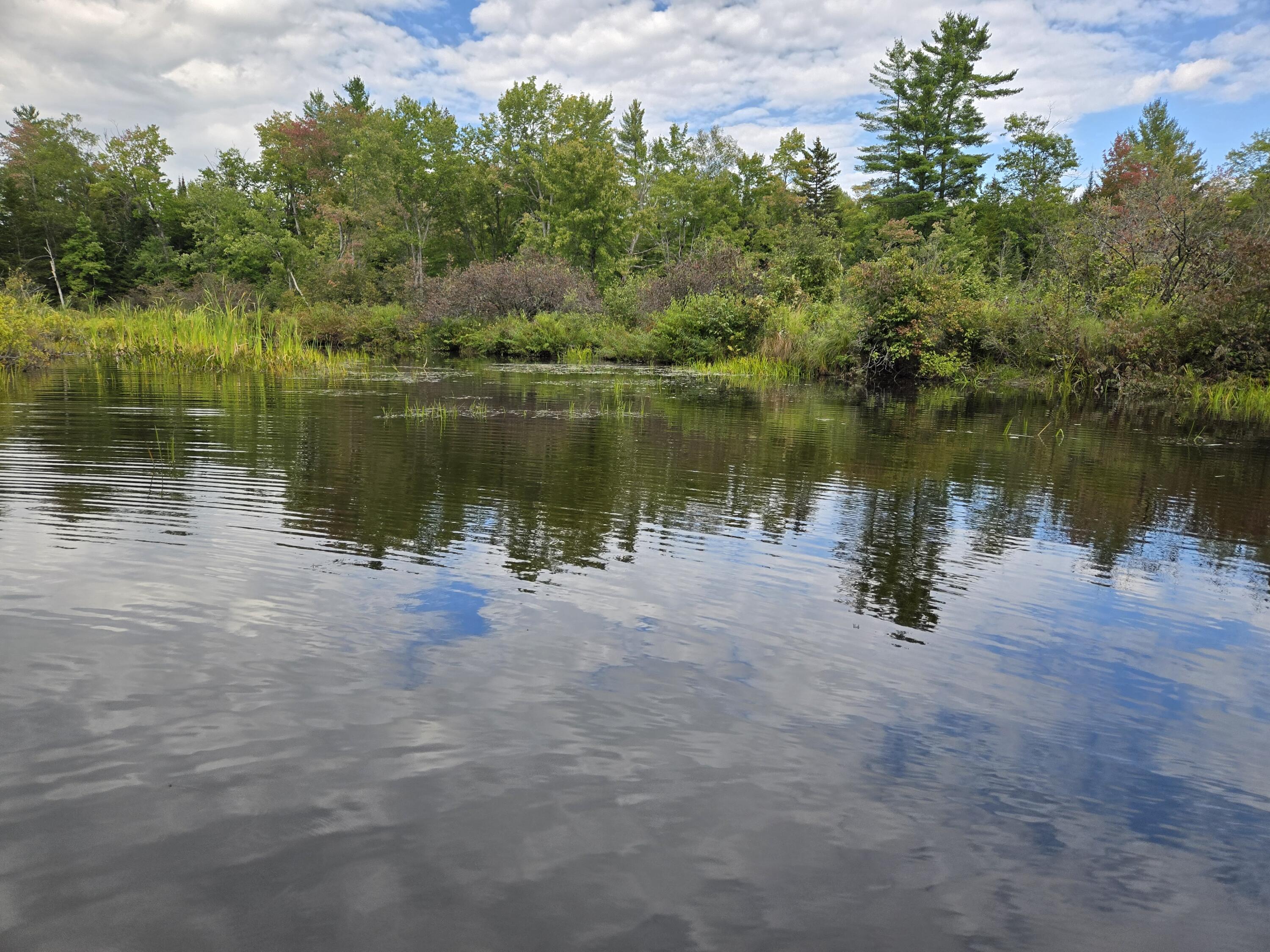 117 Gammon Road Sumner, ME 04292 - Photo 36 of 49 20250914_152155