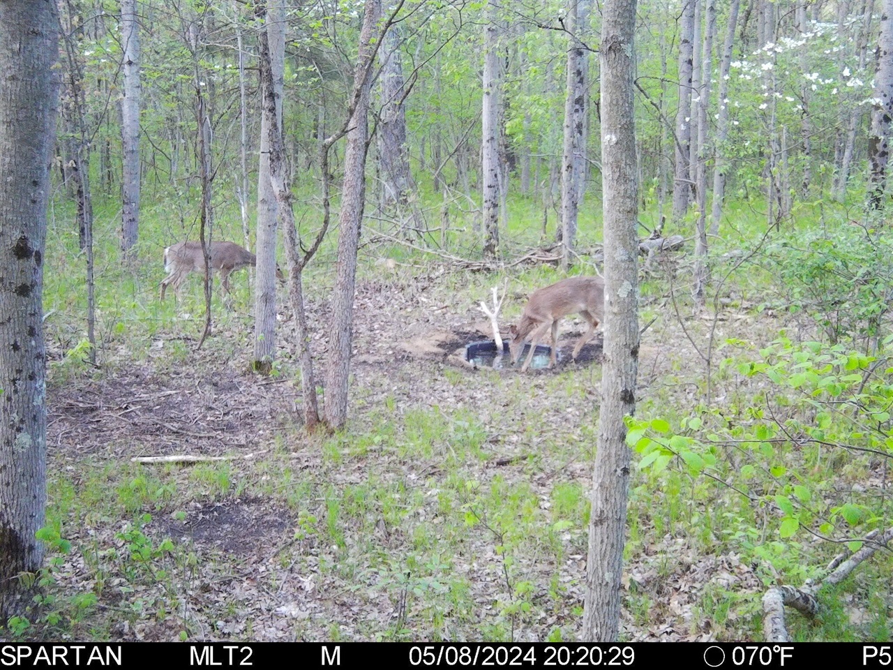 12.19 Rapp Drive Twin Lake, MI 49457 - Photo 44 of 48
