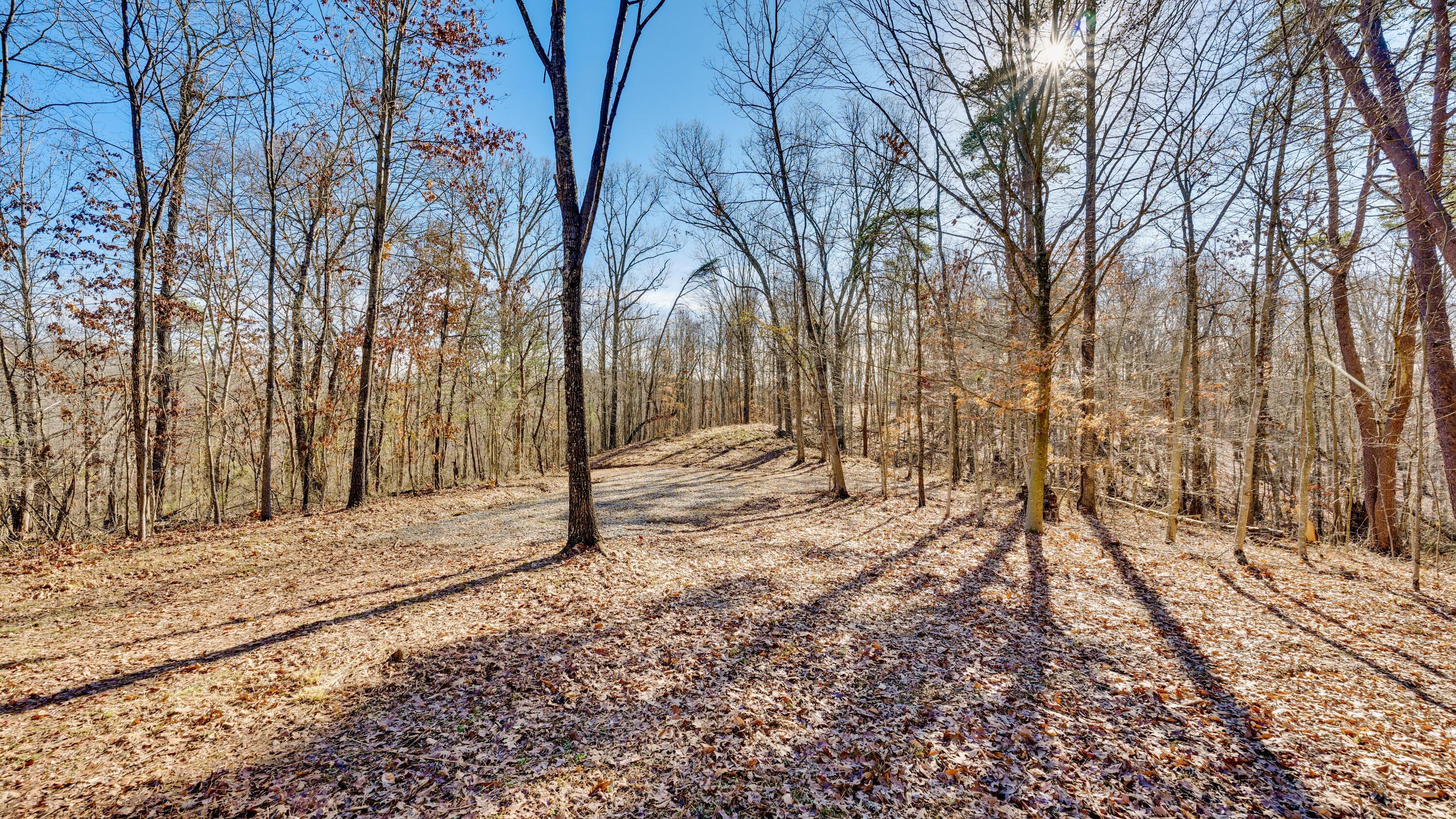 0 Harrison Road, Unit TRACT 6 Jackson, OH 45640 - Photo 19 of 21 Trac 6 - 12