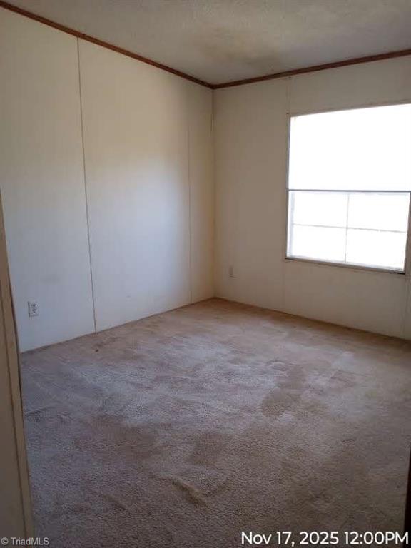 901 George Roberson Lane Graham, NC 27253 - Photo 8 of 17