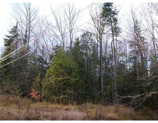 1 Mineral Springs Road Peru, ME 04290 - Photo 2 of 8 Land/Lot.
