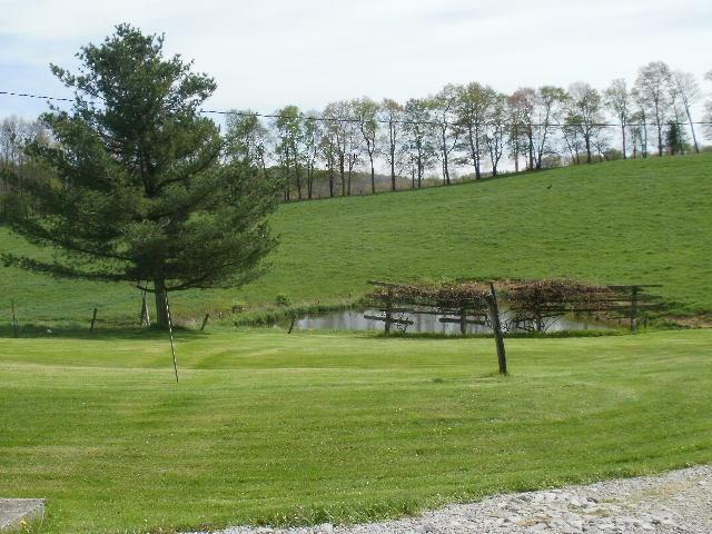 649 Chippewa Road Rockwood, PA 15557 - Photo 8 of 10 Gallery Image 8