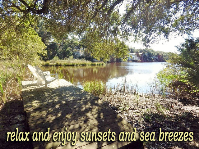702 Jungle Road Edisto Island, SC 29438 - Photo 36 of 45 36