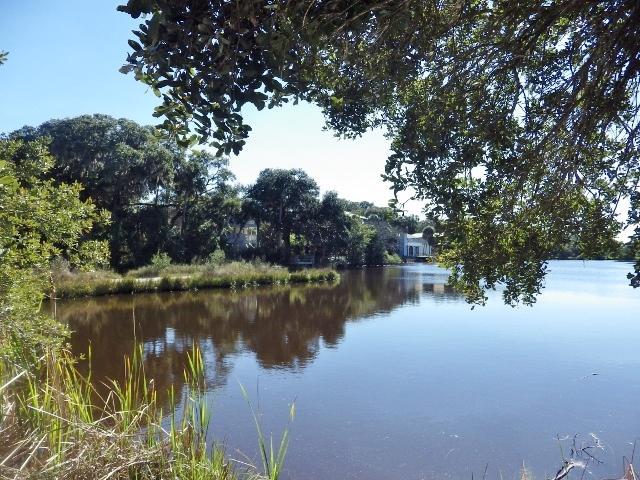 702 Jungle Road Edisto Island, SC 29438 - Photo 37 of 45 37