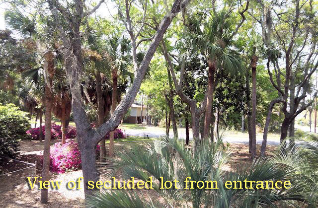 702 Jungle Road Edisto Island, SC 29438 - Photo 39 of 45 39